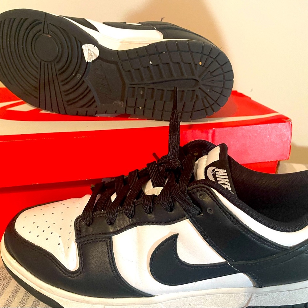 Nike Dunk Low
